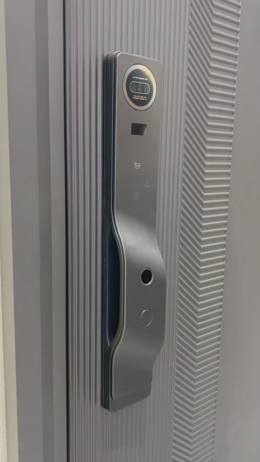 Customized Modern Design Entrance Front Double or Single Swing Door Security Metal Aluminium Steel Security Entry Exterior Door